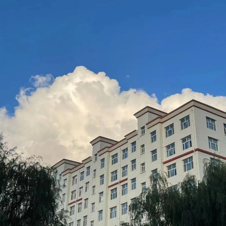 1635214937338875.jpg